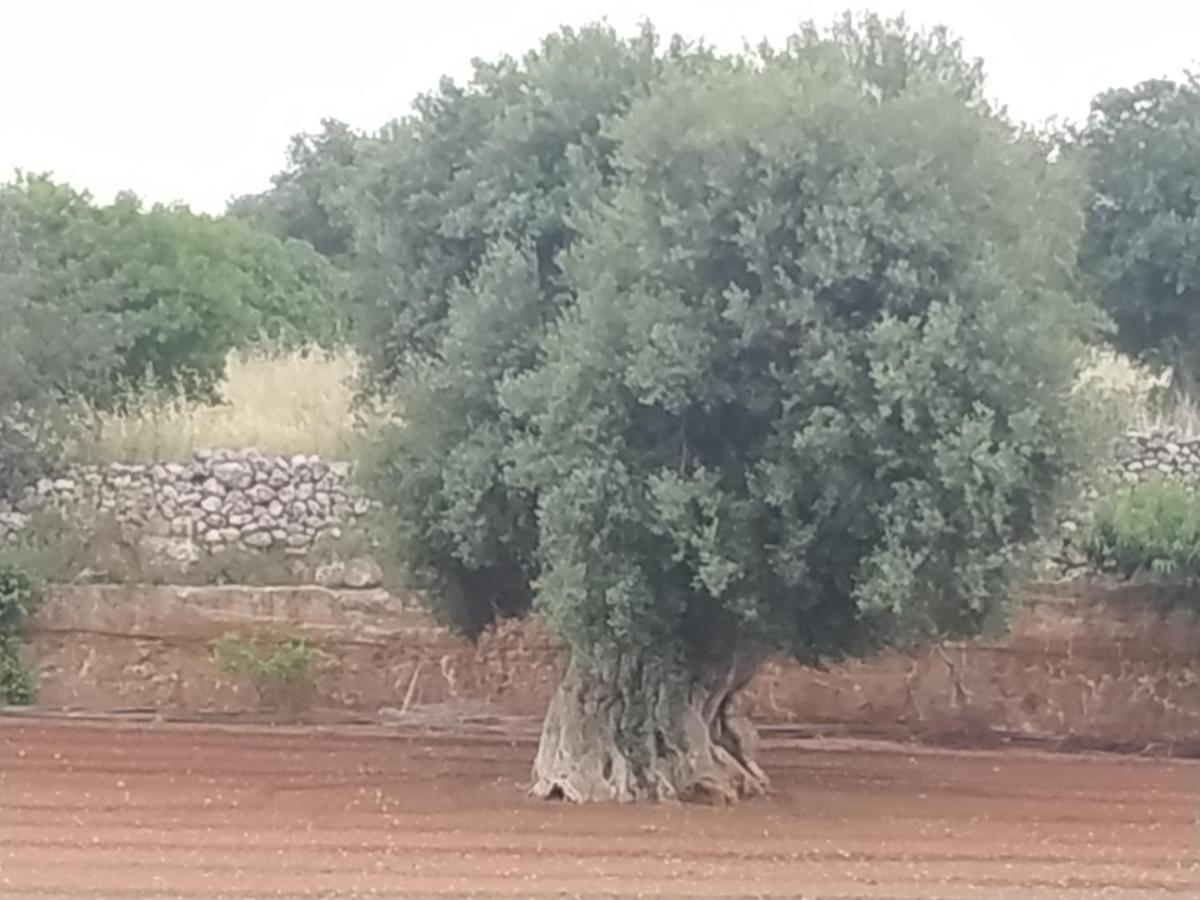 Masseria Auina Hotell Fasano Eksteriør bilde