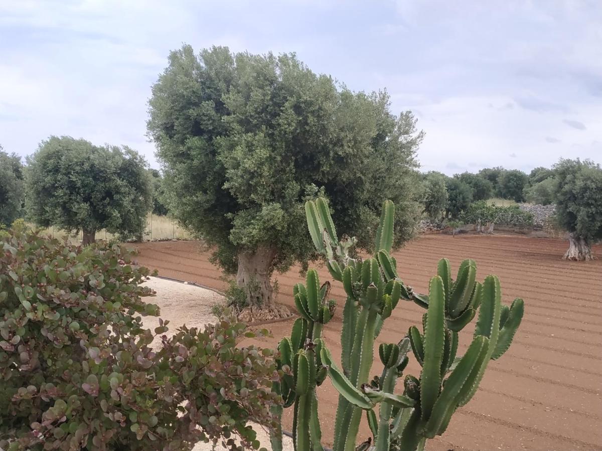 Masseria Auina Hotell Fasano Eksteriør bilde